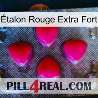 Étalon Rouge Extra Fort 13